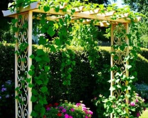 Rankgitter für Kletterpflanzen: Elegante Lösungen für den Garten