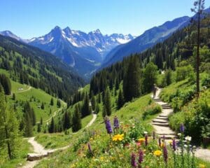 Die schönsten Wanderwege für aktive Wochenenden